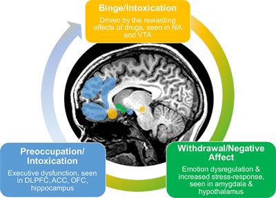 Dark Times: The Role of Negative Reinforcement in Methamphetamine Addiction